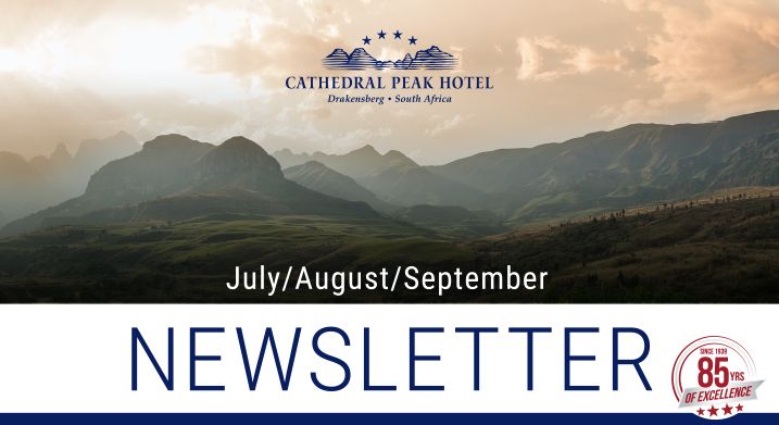 July August September Newsletter banner