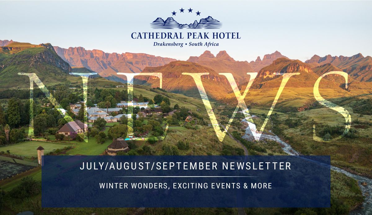 July August September Newsletter header